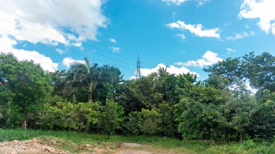 Este sábado, Medio Ambiente celebra su día con acto en San Cristóbal