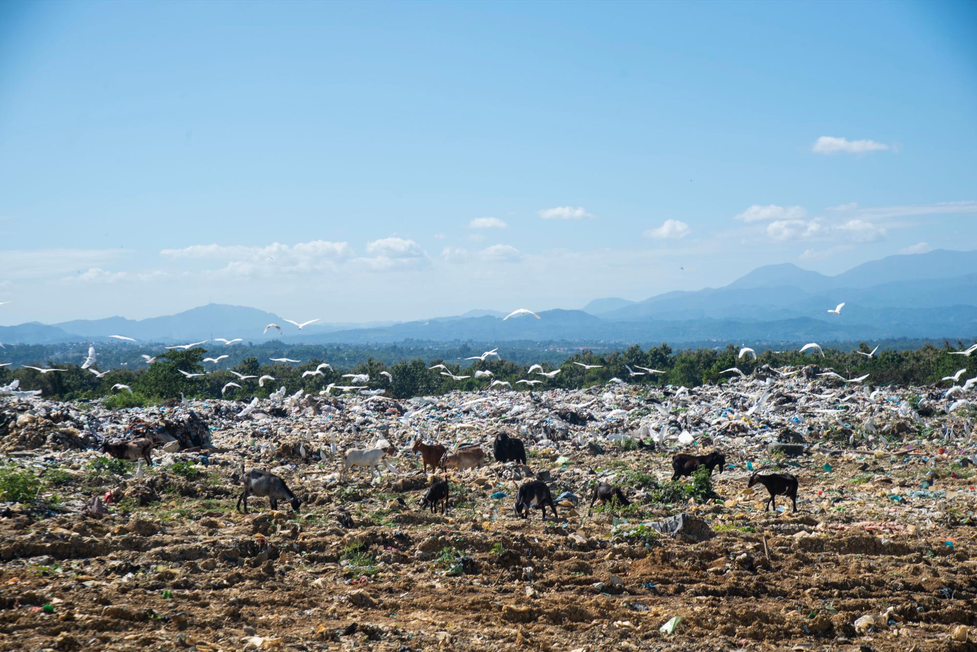 La basura cubre parte del terrenos que fueron cubiertos a raíz del incendio.