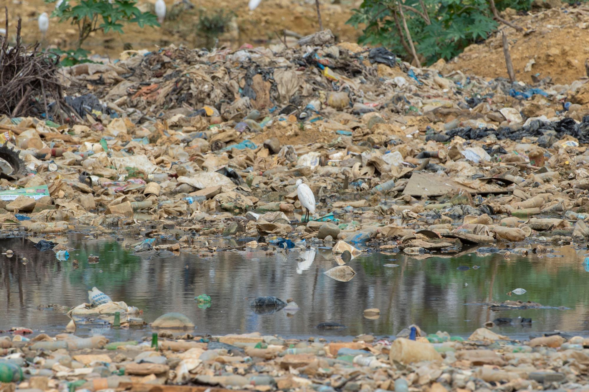 La contaminación impera en el lugar