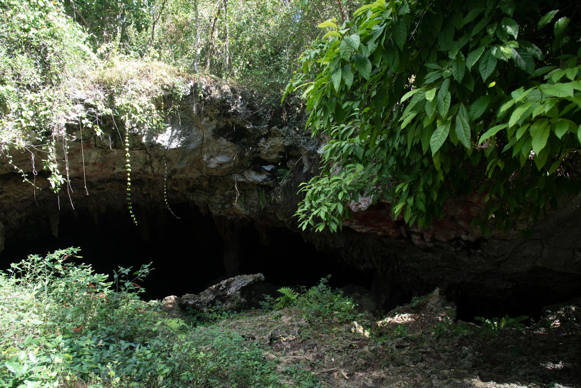 En esta cueva se libró una batalla entre los jóvenes palmeros y los militares de los 12 años de Joaquín Balaguer. 