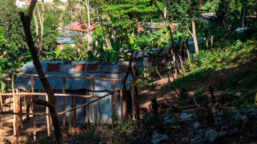 Poco a poco invasores arropan el área protegida en Palacete de Palavé Poco a poco invasores arropan el área protegida en Palacete de Palavé