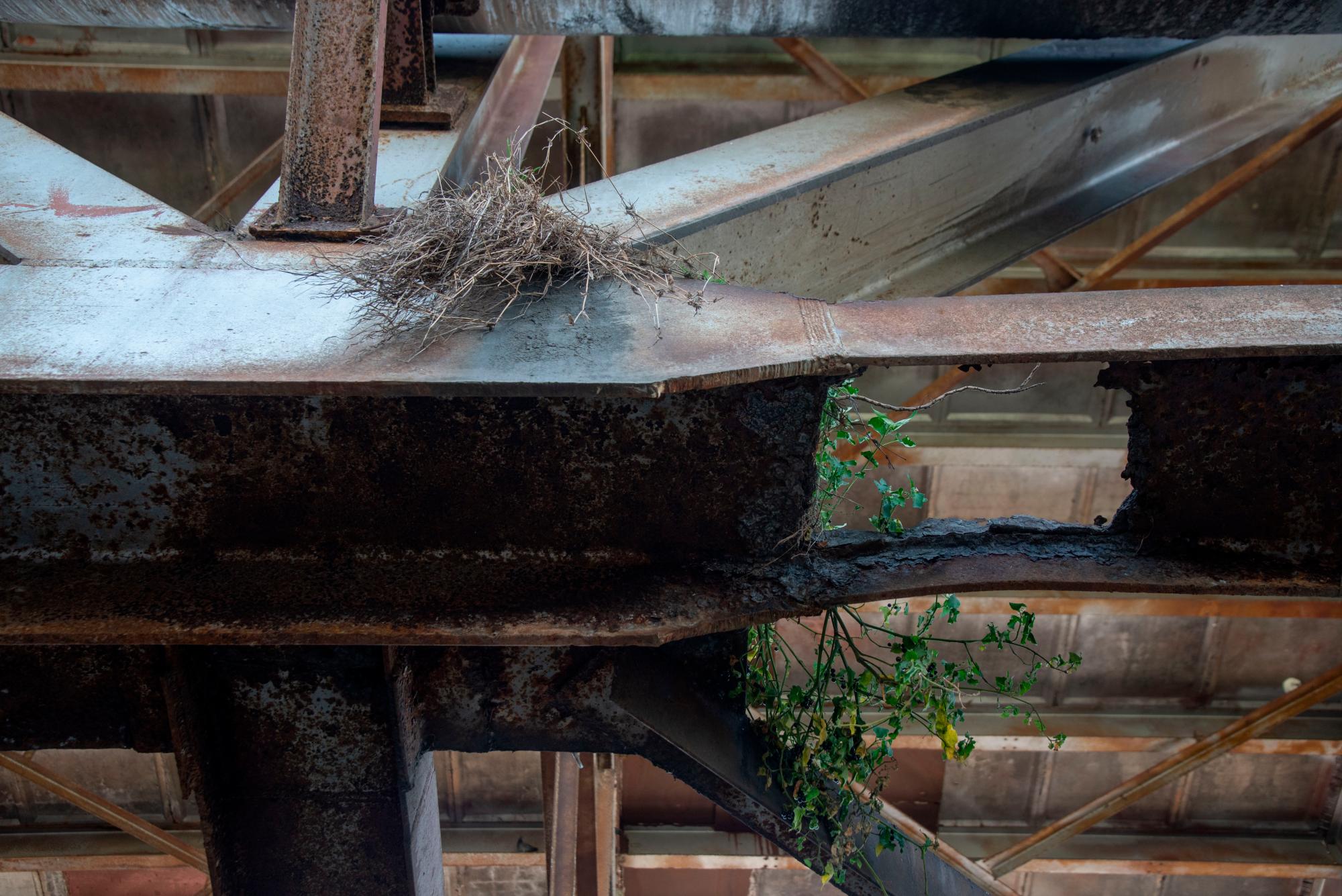 Nivel de deterioro de la estructura metálica que conforman el puente. 