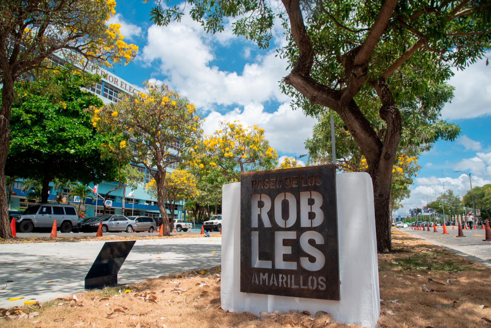 La alcaldía del Distrito, en la persona de la alcaldesa Carolina Mejía, inauguró recientemente el “Paseo de los Robles Amarillos”