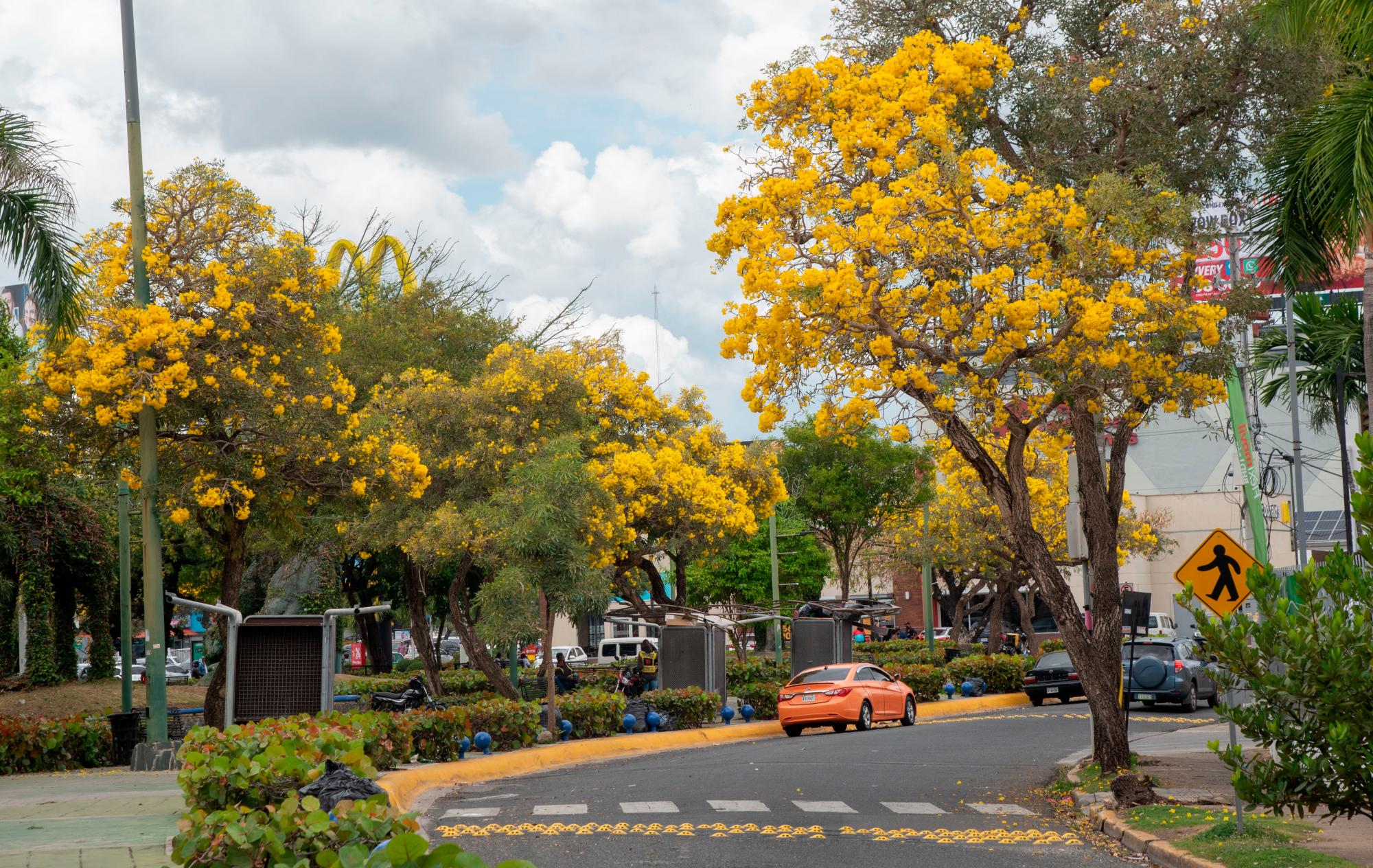 Avenida de Los Próceres.