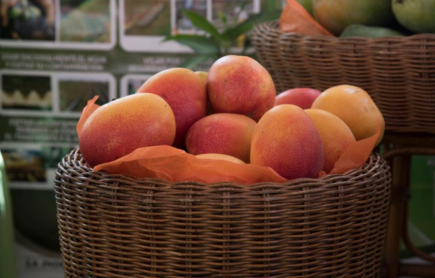 El mango, sus variedades y cómo distinguirlas