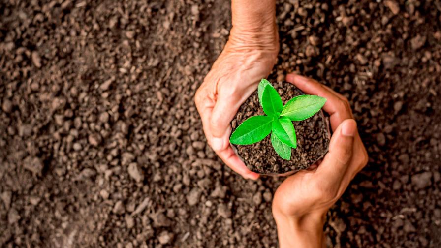 Esta recuperación será más verde que la anterior