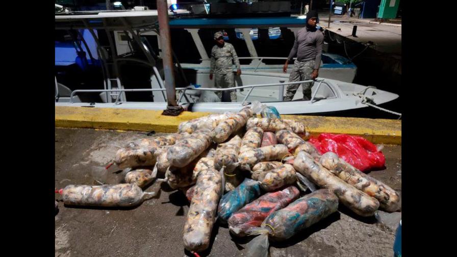 Incautan más de media tonelada de peces loros y lambies en Samaná