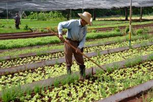 Fondo Verde para el Clima aprobó proyecto de resiliencia climática en Cuba