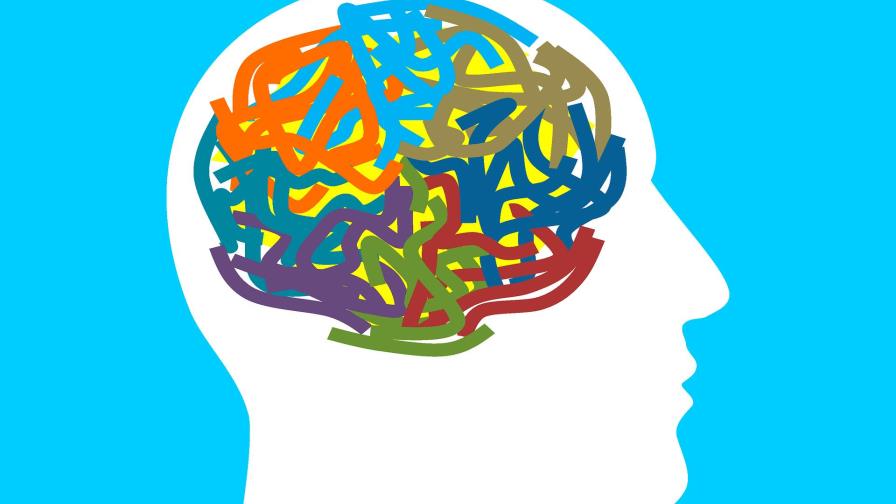 Descubren un nuevo mecanismo que explica la formación de la “memoria social”