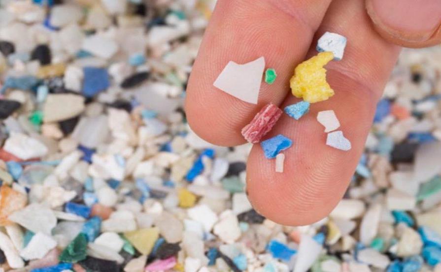 Unas 14 millones de toneladas de microplásticos contaminan fondo de océanos