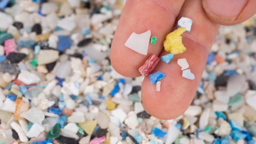 Unas 14 millones de toneladas de microplásticos contaminan fondo de océanos