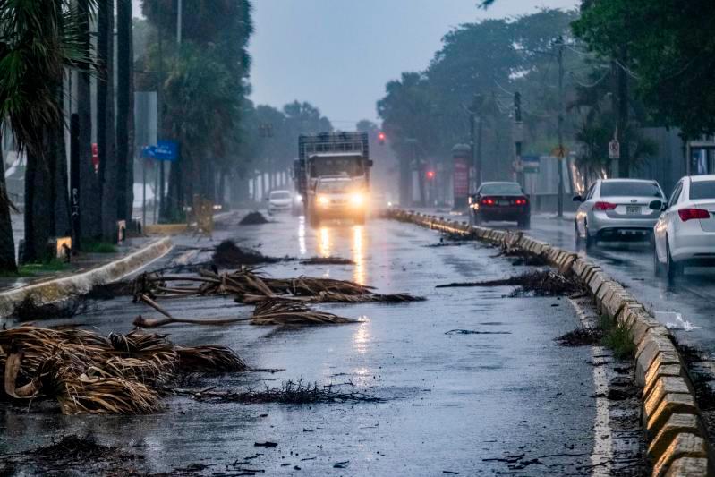 Pencas secas de las palmas que adornan el malecón, se convirtieron en obstáculos para el tránsito el jueves 29 de julio de 2020 al ser tumbadas por los vientos de la tormenta Isaías y caer en la avenida George Washington. 