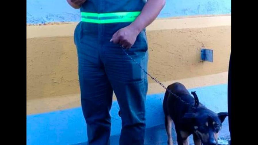 Agente de la DIGESETT devuelve cartera con diez mil pesos a ciudadano la perdió Agente de la DIGESETT devuelve cartera con diez mil pesos a ciudadano la perdió
