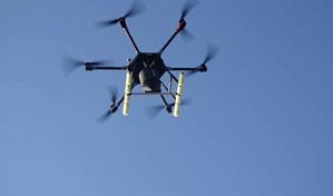 Drones contra ratas