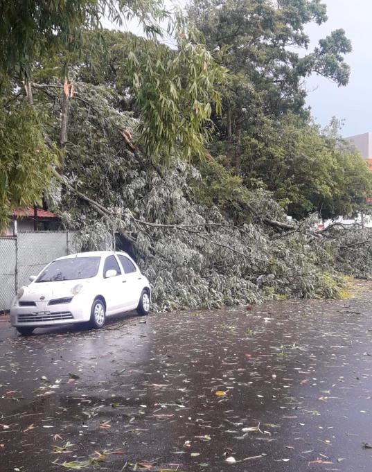Calle y casa afectada por el ventarrón