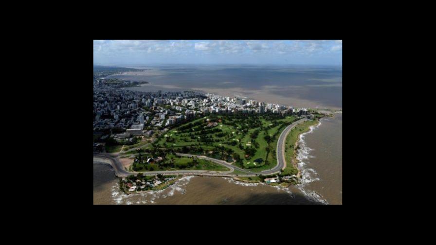 Mercosur apuesta por trabajo conjunto para combatir la pandemia