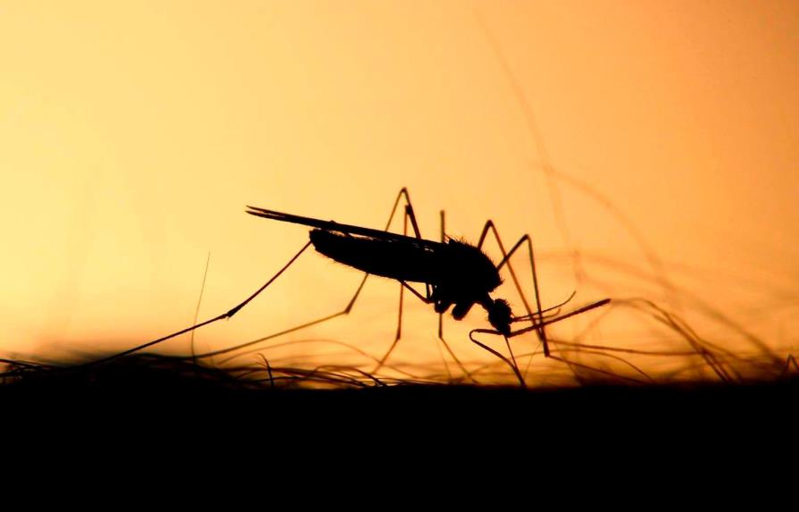 El dengue en las Américas alcanza el mayor número de casos registrados en la historia
