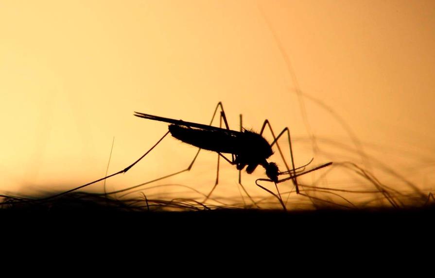 Sube a 22 la cifra de muertes por dengue en Nicaragua este año
