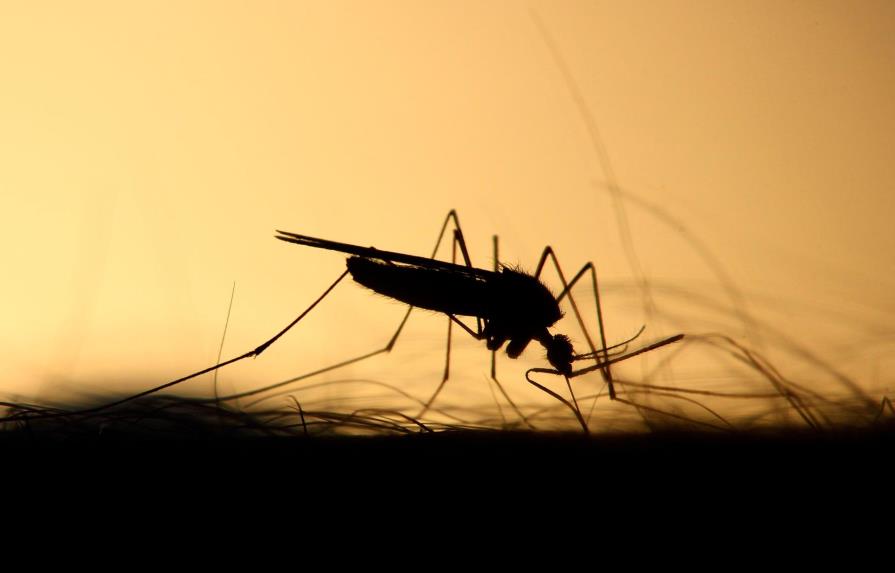 Investigan en Honduras la muerte de 38 personas más por dengue grave en 2019
