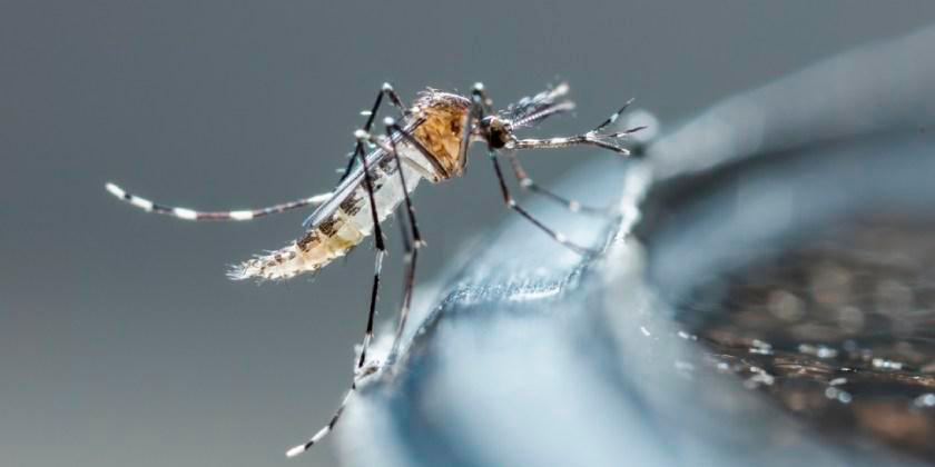 Aumenta la letalidad por dengue en el país