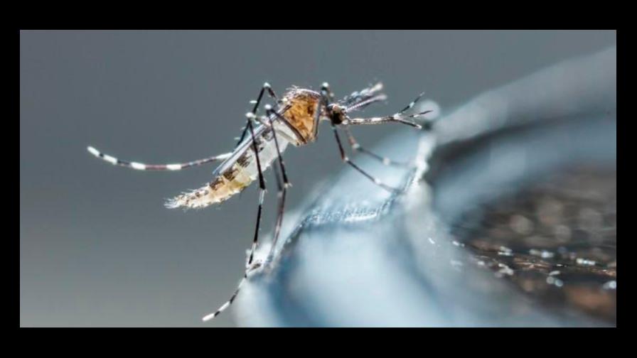 Aumenta la letalidad por dengue en el país