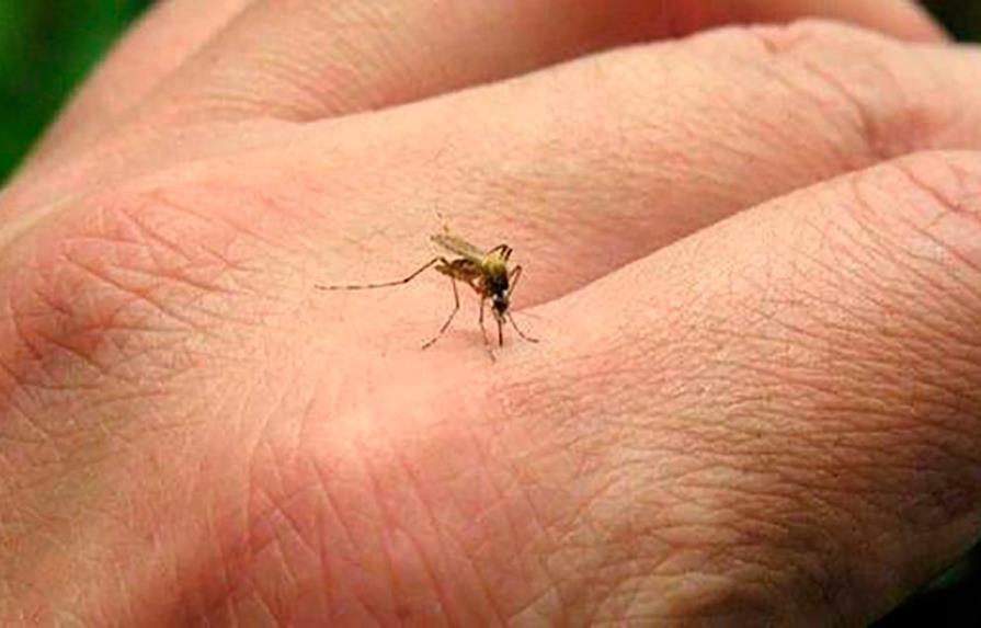 Ocoa, primera provincia en alerta roja por dengue en el país
