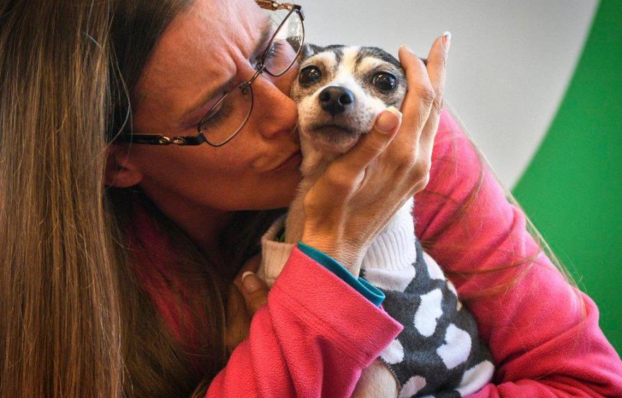 Mujer de Florida encuentra a su perra perdida hace 12 años