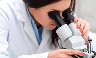 Encuentran sustancias químicas persistentes en órganos fetales