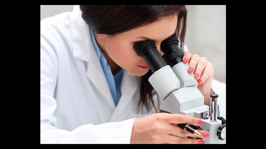 Encuentran sustancias químicas persistentes en órganos fetales