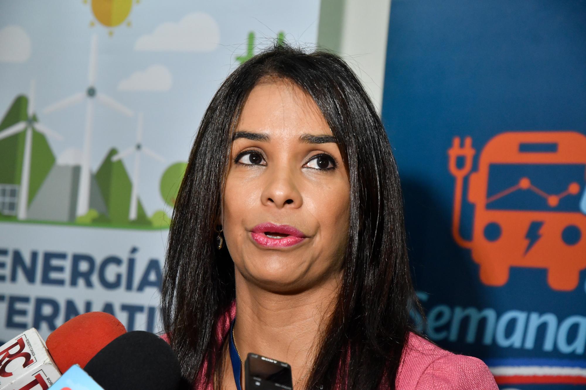 Claudia Franchesca De los Santos, directora del INTRANT