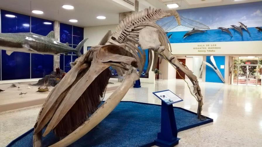 Museo Nacional de Historia Natural presenta muestra