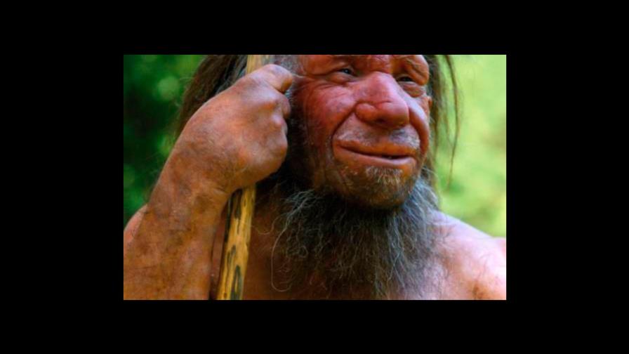 Los neandertales también bucearon para encontrar sus herramientas en el mar Los neandertales también bucearon para encontrar sus herramientas en el mar