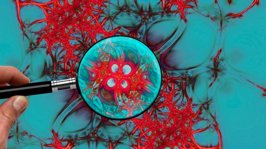 Descubren vías contra cáncer del sistema nervioso agresivo en niños y adultos