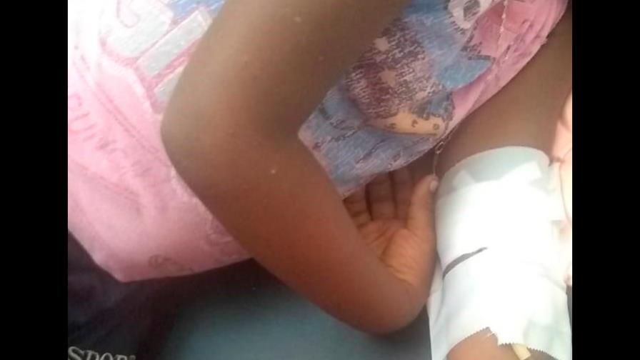 Se intoxican cuatro niñas tras comer la fruta de javilla en una escuela de San Pedro de Macorís