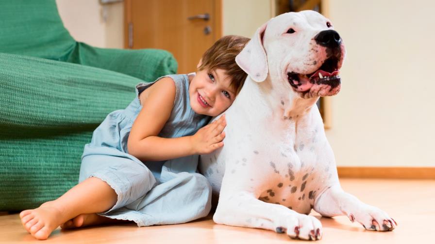 ¿Cuáles son las razas de perros que mejor conviven con los niños?