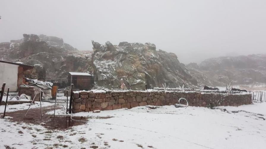 Nieve paraliza medio EEUU y amenaza millones de viajes por Acción de Gracias