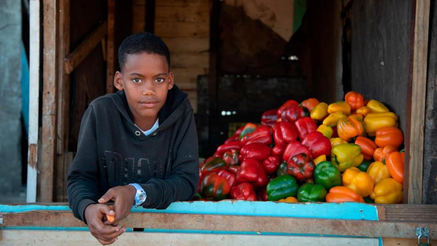 Un 36% de los estudiantes de 12 y 15 años de zonas vulnerables trabaja para subsistir