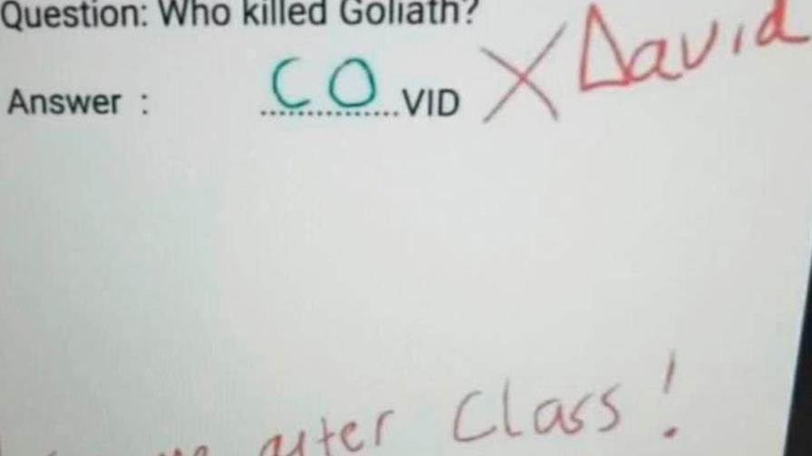 ¿Quién mató a Goliat? La respuesta viral de un niño que ha dado la vuelta al mundo ¿Quién mató a Goliat? La respuesta viral de un niño que ha dado la vuelta al mundo