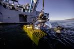 Científicos a bordo de OceanXplorer estudiarán la vida marina de la costa dominicana