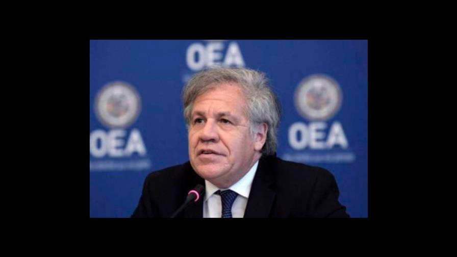 Llegan las elecciones de la OEA: ¿quiénes son los candidatos? Llegan las elecciones de la OEA: ¿quiénes son los candidatos?