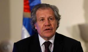 OEA acepta auditar equipos de voto automatizado usados en elecciones primarias