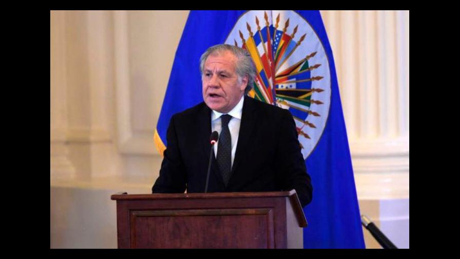 La OEA iniciará la próxima semana auditoría electoral