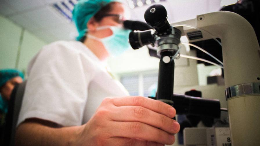 Un “reloj” inmune controla las infecciones y la enfermedad cardiovascular