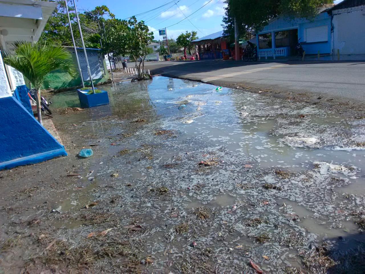 Las aguas provocadas por las fuertes olas han penetrado algunos establecimientos comerciales localizados en esta zona.  