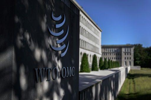 Hay siete candidatos que aspiran a dirigir la OMC