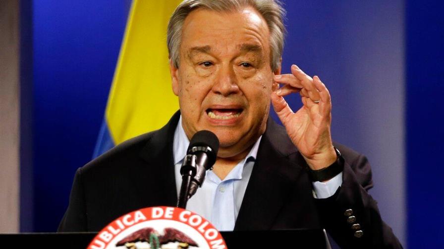 La ONU convoca a artistas a concienciar sobre la biodiversidad