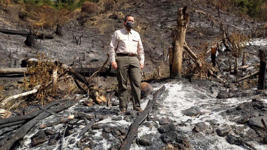 En siete meses Medio Ambiente somete a la justicia a 475 personas por delitos ambientales