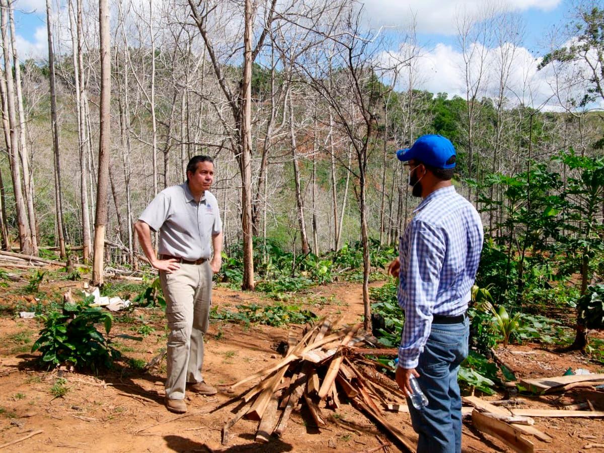 Orlando Jorge Mera supervisa algunas áreas donde se cometen delitos ambientales . 
