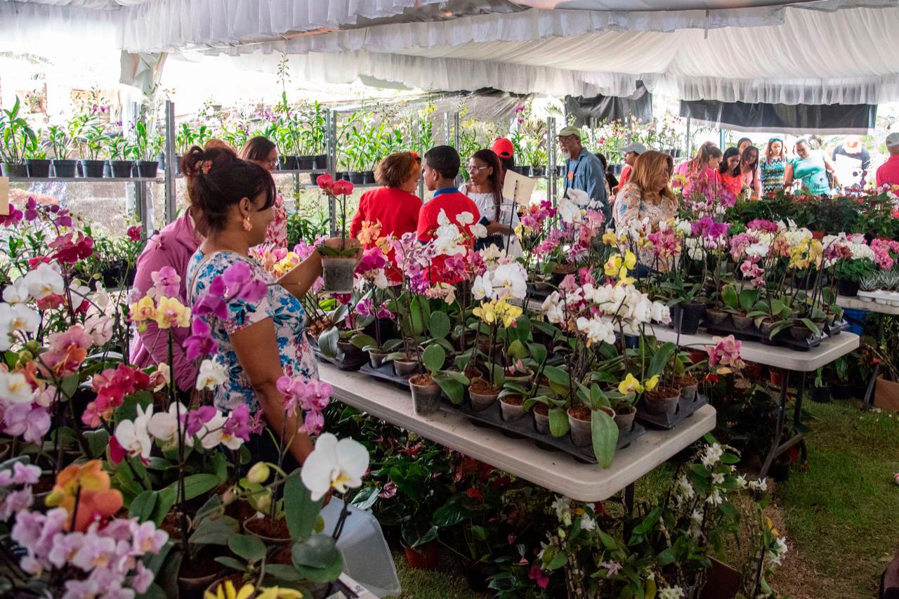 Orquídeas para todos los gustos en la exposición del Jardín Botánico -  Diario Libre