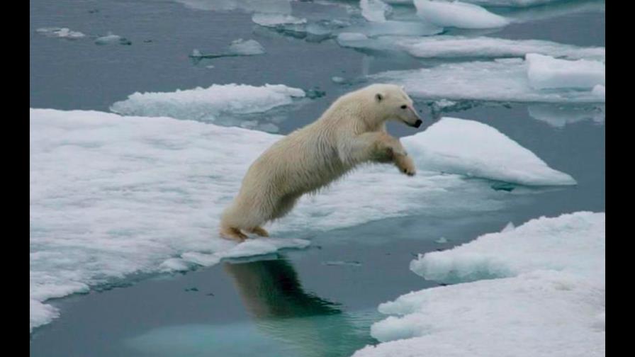 Golpe de calor en los países nórdicos, temperaturas frisan los 35 ºC en el Ártico